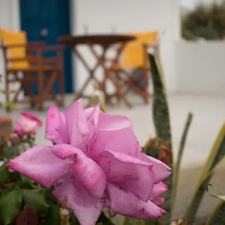 Onar Milos Junior * Adamantas (Milos)