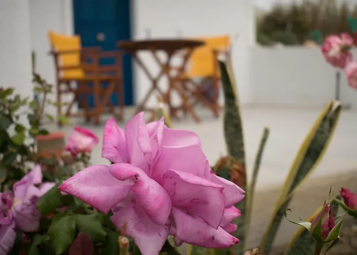 Onar Milos Junior * Adamantas (Milos)